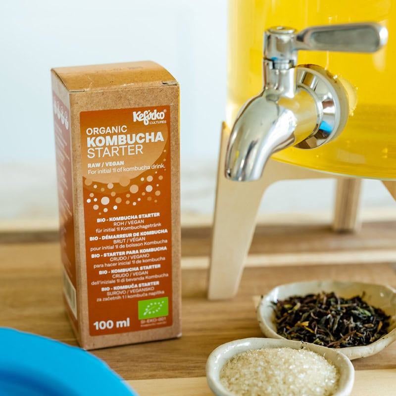 KefirKo Starter Kombucha Bio – photo 2