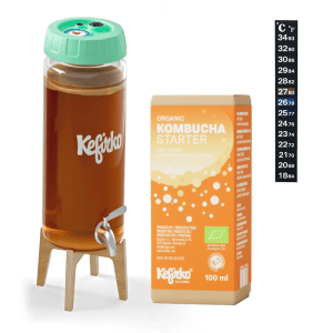 Pack de démarrage Kombucha