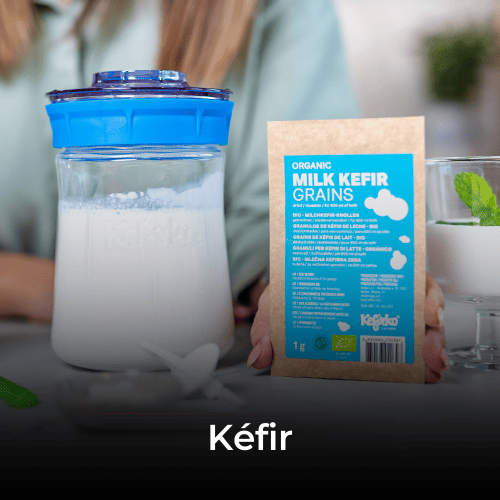 Grains de kéfir de lait bio, vegan, durables, alimentation saine, culture de kéfir.